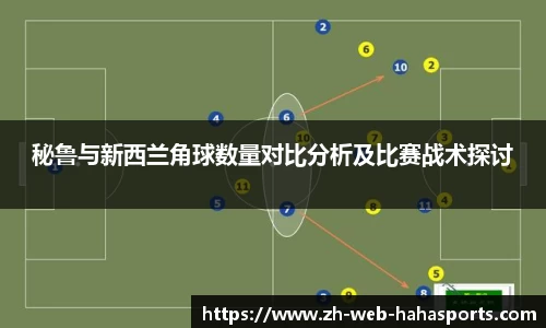haha体育十年运营