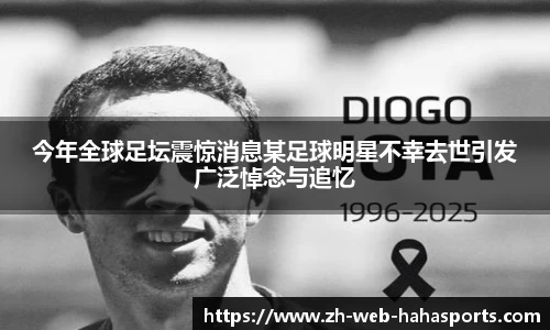 haha体育十年运营